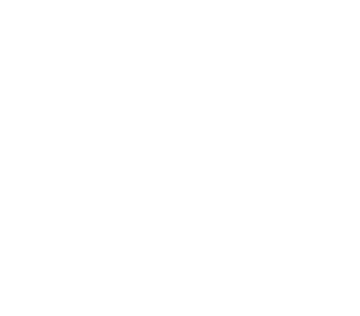 desisle testimonials